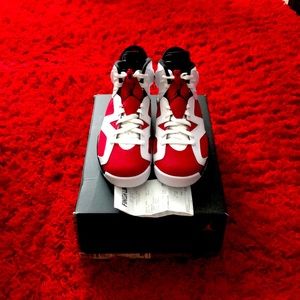 2021 Air Jordan 6 “Carmine” retro